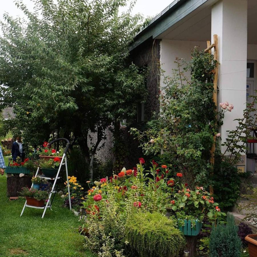 Leila'S Guest House Joqolo Exteriér fotografie